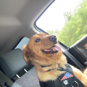 Hosted by Kaden Mallory